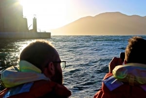 San Francisco-bugten: Adventure Boat Tour