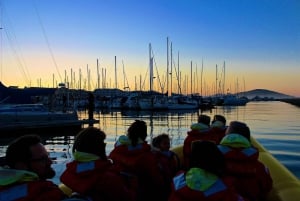 Baia di San Francisco: tour in barca avventura