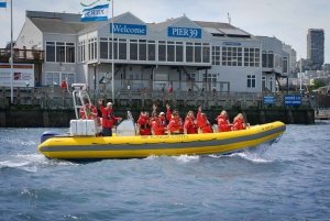 San Francisco Bay: Äventyrsbåtstur