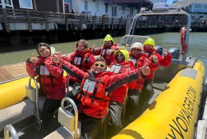 San Francisco-bugten: Adventure Boat Tour