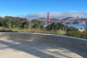 San Francisco: Billionaire's Row & Palace of Fine Arts Tour