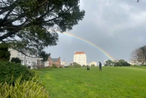 San Francisco: Billionaire's Row & Palace of Fine Arts Tour