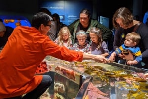 サンフランシスコ：カリフォルニア科学アカデミー入場券