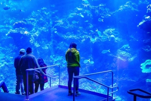 Kalifornijska Akademia Nauk w San Francisco wraz z wstępem