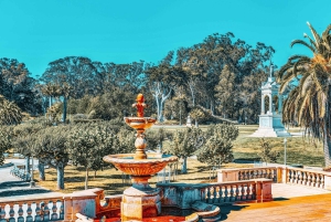 Kalifornijska Akademia Nauk w San Francisco wraz z wstępem