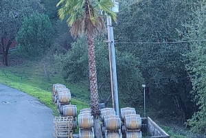 San Francisco: Ost, honung, ostron och vinrundtur i Sonoma