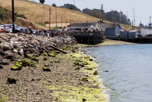 San Francisco: Ost, honung, ostron och vinrundtur i Sonoma