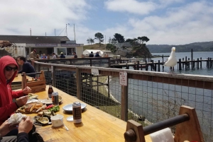 San Francisco: Ost, honung, ostron och vinrundtur i Sonoma