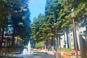 San Francisco: Chinatown mat- og kulturtur