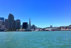 San Francisco : Croisière chocolat et vin sur la baie de SF