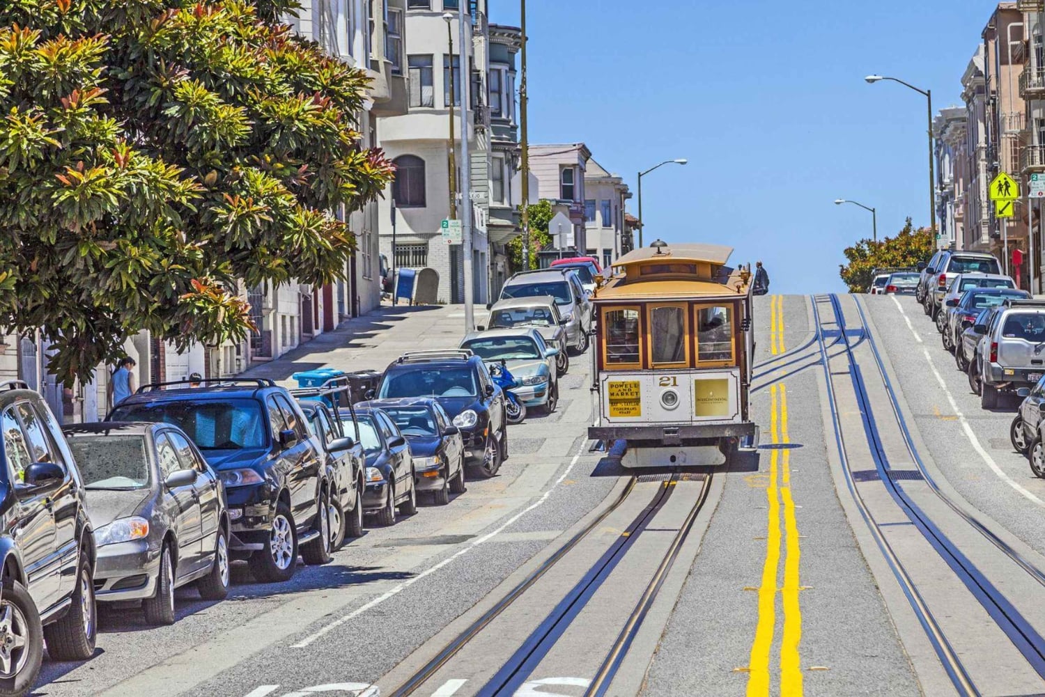 San Francisco: Stadens höjdpunkter och dolda pärlor Privat tur
