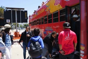 San Francisco: City Sightseeing Hop-On Hop-Off Bus Tour