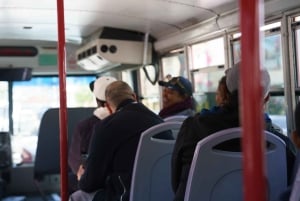 San Francisco: City Sightseeing Hop-On Hop-Off Bus Tour