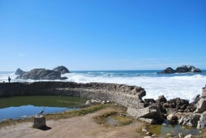 Excursão Turística em São Francisco e Ingresso para Alcatraz