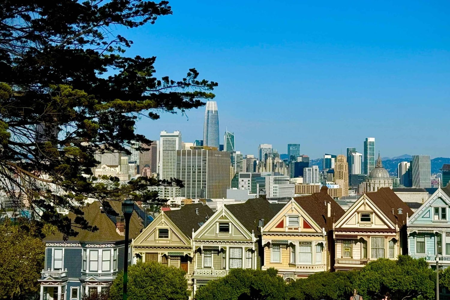 San Francisco City Tour in New EV Volkswagen Van