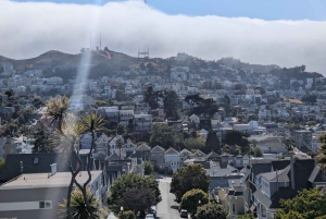San Francisco City Tour in New EV Volkswagen Van