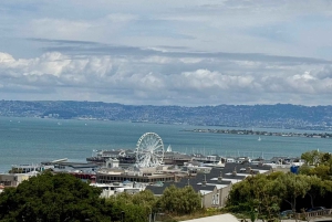 San Francisco City Tour in New EV Volkswagen Van
