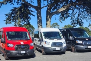 San Francisco: Tour guidato di mezza giornata della città