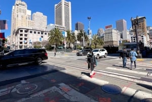 San Francisco: Tour guidato di mezza giornata della città