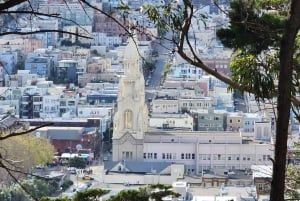 San Francisco: Tour guidato di mezza giornata della città