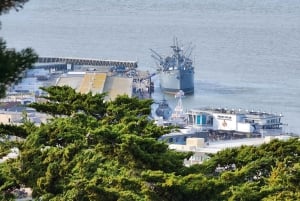 San Francisco : Visite guidée d'une demi-journée de la ville en groupe