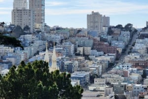 San Francisco: Półdniowa grupowa wycieczka po mieście z przewodnikiem