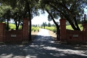 San Francisco: Tour di mezza giornata del vino e tour Hop-on Hop-off della città