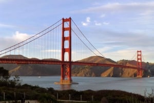 San Francisco: Halve dag wijntour & hop-on-hop-off-tour door de stad