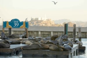 San Francisco CityPASS®: Save 46% at 4 Top Attractions