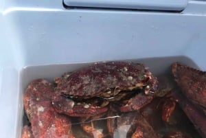 San Francisco: Crab & Cook under Golden Gate Bridge