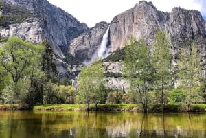 San Francisco: Day Trip to Yosemite with Giant Sequoias Hike