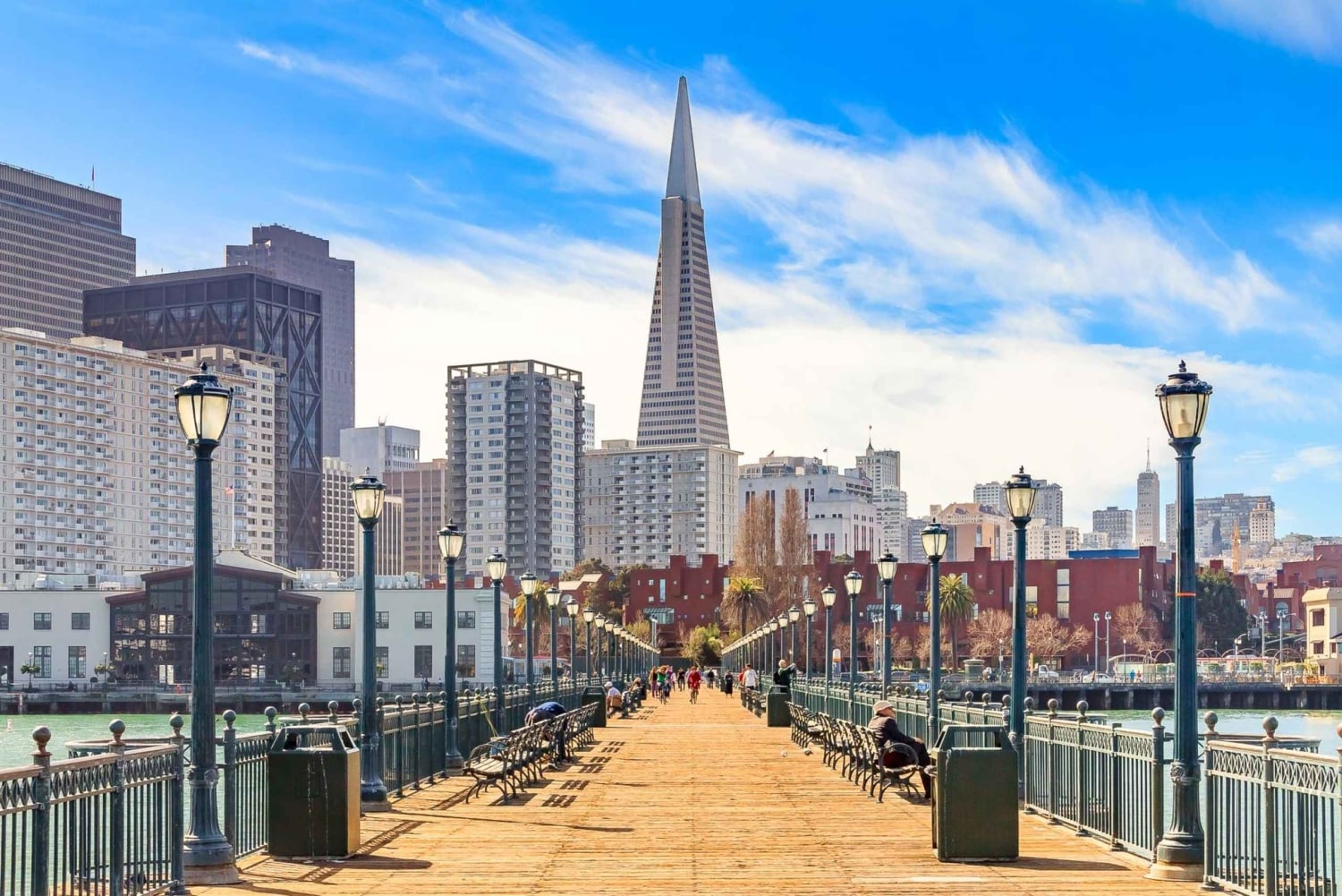 San Francisco: tour privato a piedi dei punti salienti del centro città