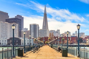 San Francisco: prywatna wycieczka piesza po centrum miasta