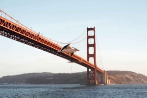 San Francisco : Buffet de Pâques, brunch ou dîner, croisière dans la baie