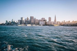 San Francisco : Buffet de Pâques, brunch ou dîner, croisière dans la baie