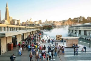 San Francisco: Adgang til Exploratorium i dagtimerne