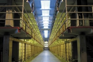 Сан-Франциско: Исследуйте Алькатрас и Золотые Ворота на велосипеде