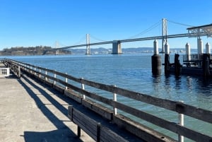 San Francisco: Heldags byrundtur med Muir Woods og Sausalito