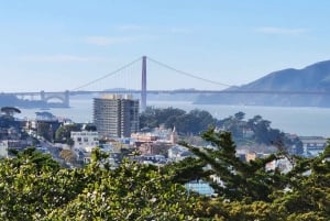 San Francisco: Heldags byrundtur med Muir Woods og Sausalito