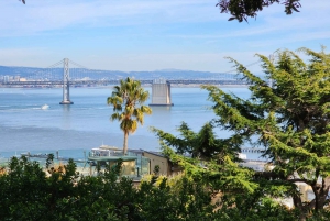 San Francisco: Ganztägige Stadtrundfahrt mit Muir Woods & Sausalito