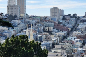 San Francisco: Heldags byrundtur med Muir Woods og Sausalito