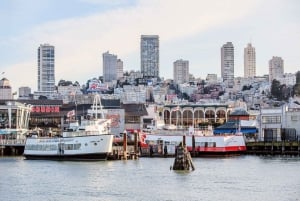 San Francisco: Golden Gate-krydstogt og hop på-/hop af-bustur