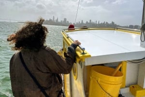 São Francisco: Viagem pela Baía da Golden Gate num barco histórico