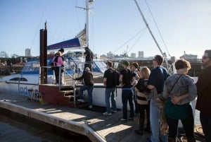 San Francisco: boottocht Golden Gate Bridge met catamaran