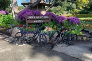 San Francisco: Golden Gate Park Guided Bike or eBike Tour