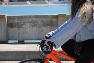 São Francisco: excursão guiada de bicicleta ou eBike pelo Golden Gate Park