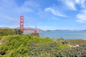 San Francisco Golden Gate Sausalito Muir Woods Tour privado