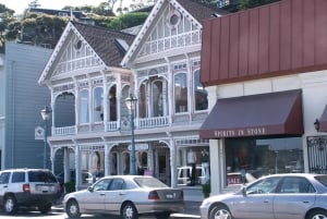 San Francisco Grand City Tour + Muir Woods and Sausalito