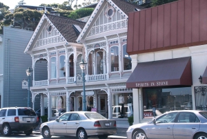 San Francisco Grand City Tour + Muir Woods and Sausalito