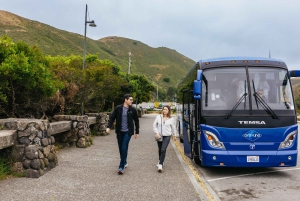 Gran tour de la ciudad de San Francisco + Muir Woods y Sausalito